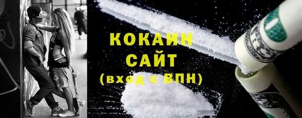 индика Абинск