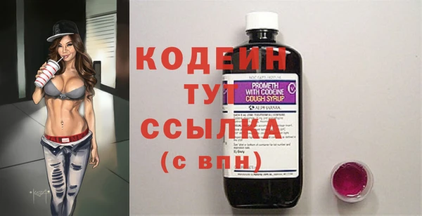индика Абинск