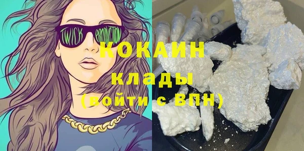 индика Абинск