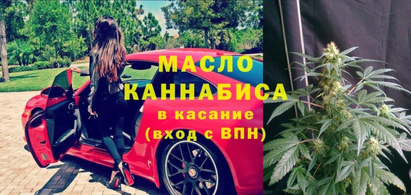 индика Абинск