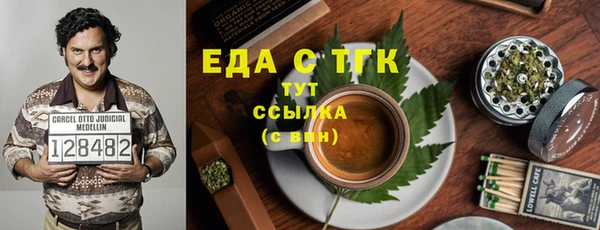 индика Абинск