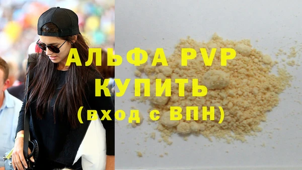 индика Абинск