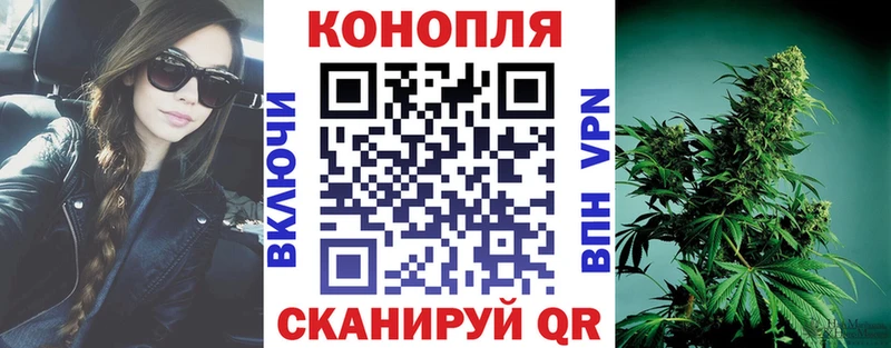ОМГ ОМГ   Александровск  Шишки марихуана планчик 